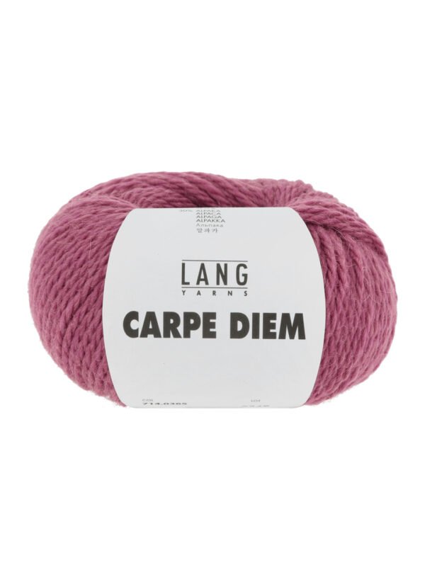 Lang Yarns Carpe Diem